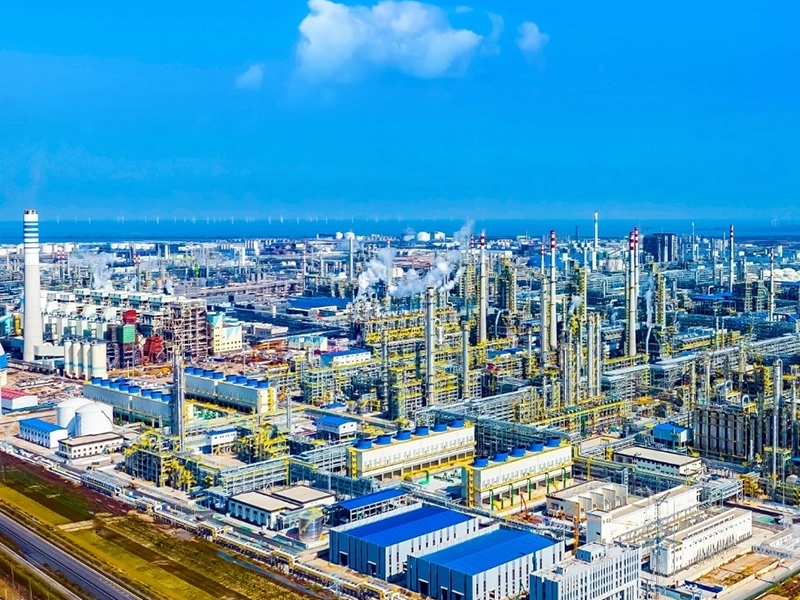 Shenghong Holding Group Co. Ltd